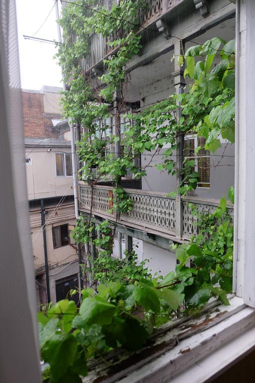 Guest House Tabukashvili 31 Tbilisi Zewnętrze zdjęcie